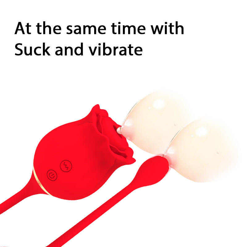 Sex Toy Vibrator for Women